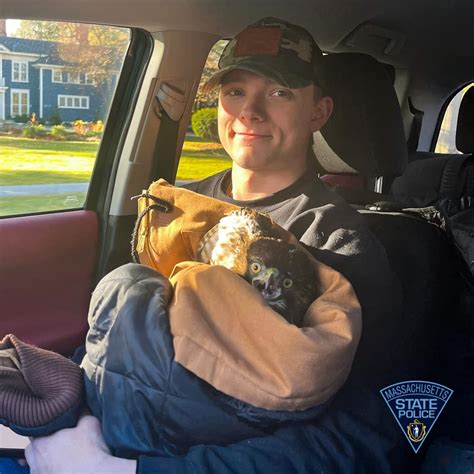 Hawk rescued by father and son off-duty cops